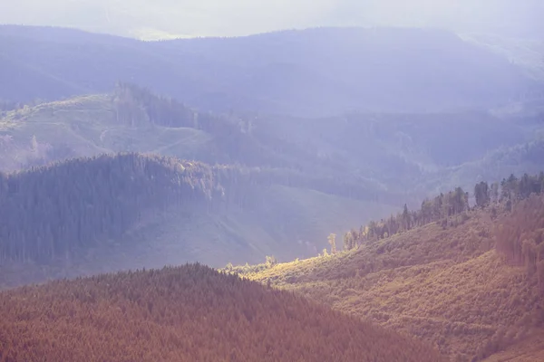 雾气的山谷 自然景观 — 图库照片