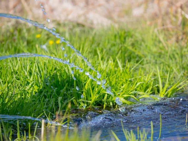 Nahaufnahme Wasserstrahl Aus Einer Quelle Inmitten Eines Grünen Rasens — Stockfoto
