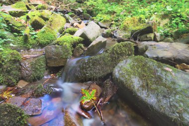 küçük dere taşları arasında acele