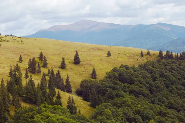 bir dağ omurgası önce çim ile tepe