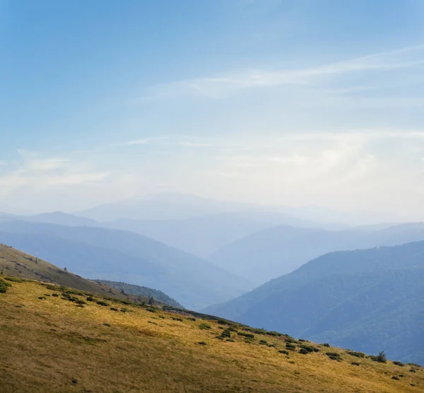 Dağ Vadisi Manzara Otlak Sahne — Stok fotoğraf