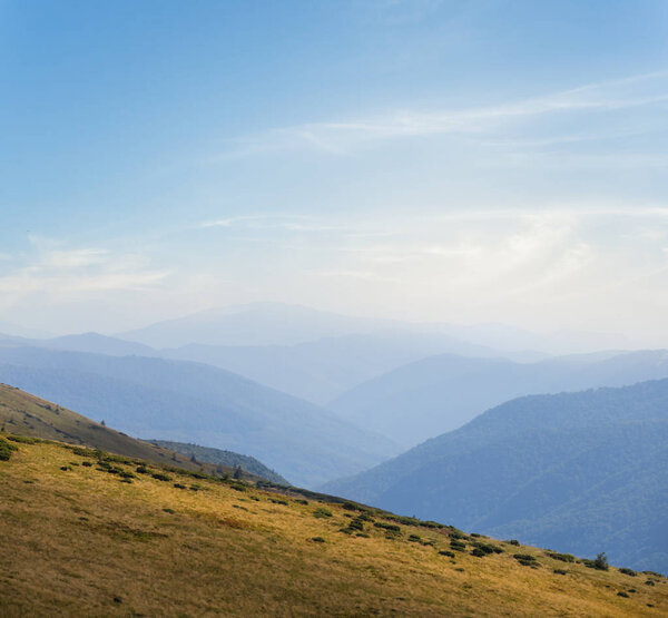 mountain valley landscape, grassland scene