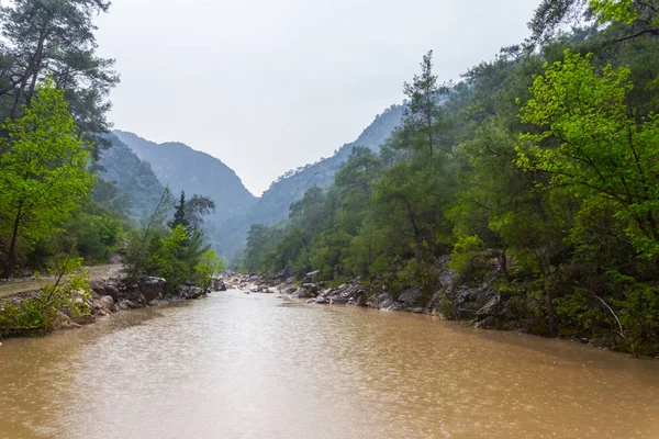 Río Sucio Después Una Lluvia Corriendo Entre Bosque — Foto de Stock