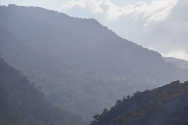 Крупный План Склона Горы Утреннем Тумане — стоковое фото