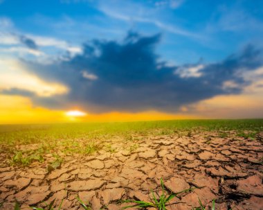 gün batımında bir çatlak içinde closeup kuru arazi