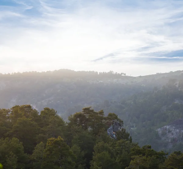 Paysage Vallée Montagne Petit Matin — Photo