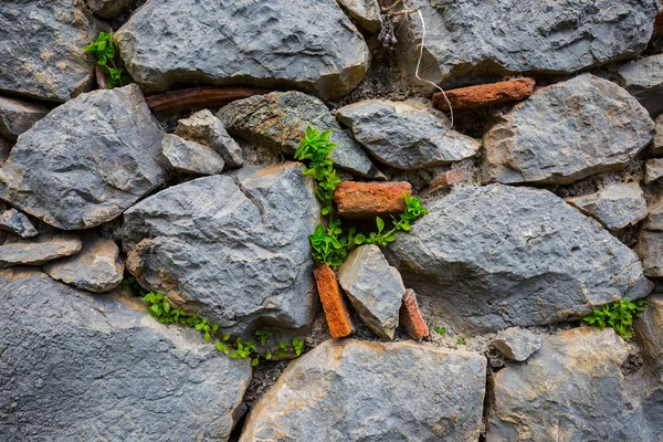 Close Oude Steenachtige Muur Natuurlijke Achtergrond — Stockfoto