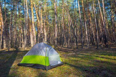 ormanda closeup yeşil ultralight turistik çadır