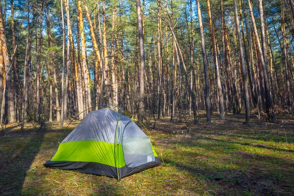 Крупный План Зеленой Ультралегкой Туристической Палатки Лесу — стоковое фото