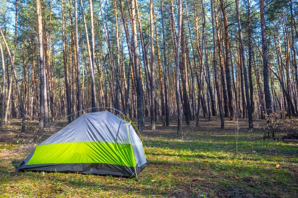 Närbild Turistiska Tält Skogen Tidigt Morgonen Turistiska Läger Scen — Stockfoto