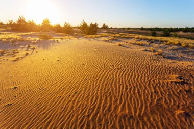 gün batımında kumlu çöl manzarası