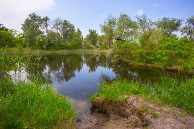 Yaz açık manzara, sessiz nehir ve yeşil orman