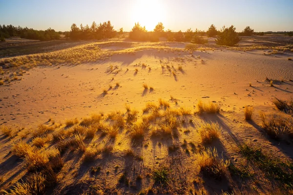 Paisagem Arenosa Deserto Pôr Sol — Fotografia de Stock