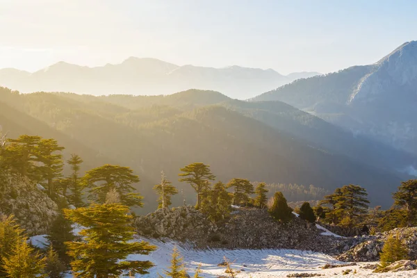 Красивая Весенняя Гора Закате Турция Лион — стоковое фото