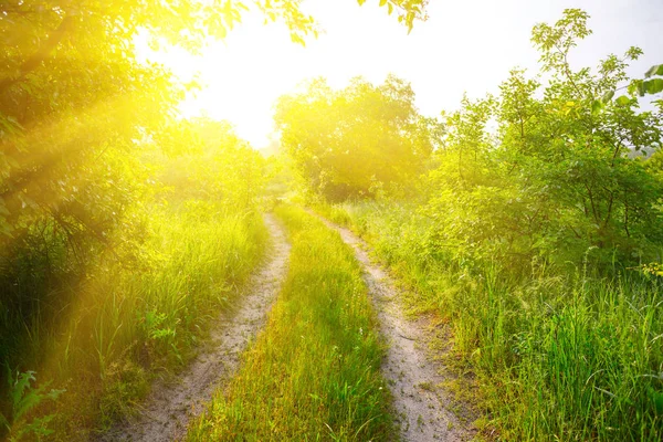 Krásná Venkovská Krajina Pozemní Silnice Mezi Trávou Při Východu Slunce — Stock fotografie