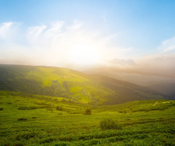 Wunderschönes Grünes Gebirgstal Bei Sonnenuntergang — Stockfoto