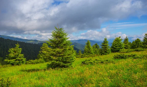 Zielony Stok Górski Małym Lasem Pod Pochmurnym Niebem — Zdjęcie stockowe