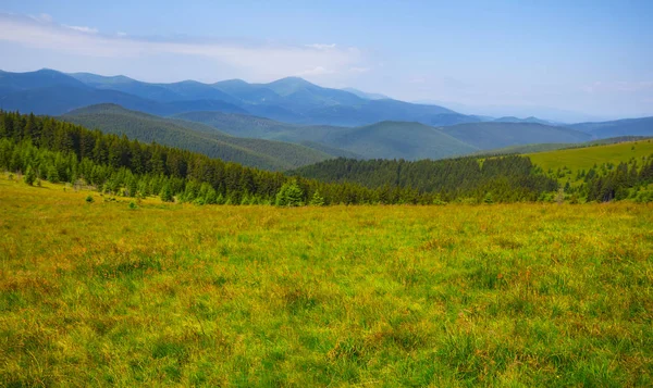 明るい夏の日に緑の山の谷のパノラマ — ストック写真