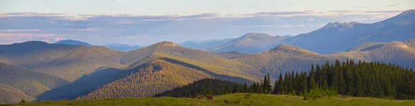 Зеленый Горный Хребет Вечернее Время Природный Фон Панорама — стоковое фото