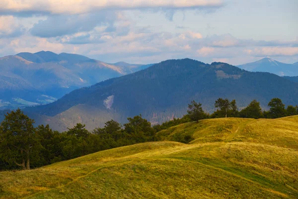 美丽的山景 蓝雾山和绿色的山牧场 — 图库照片