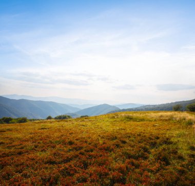 sabahın erken saatlerinde kırmızı bir çim dağ platosu, doğal arka plan