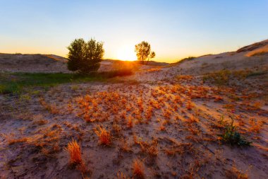 gün batımında çim ve kum ile çayır, akşam açık arka plan