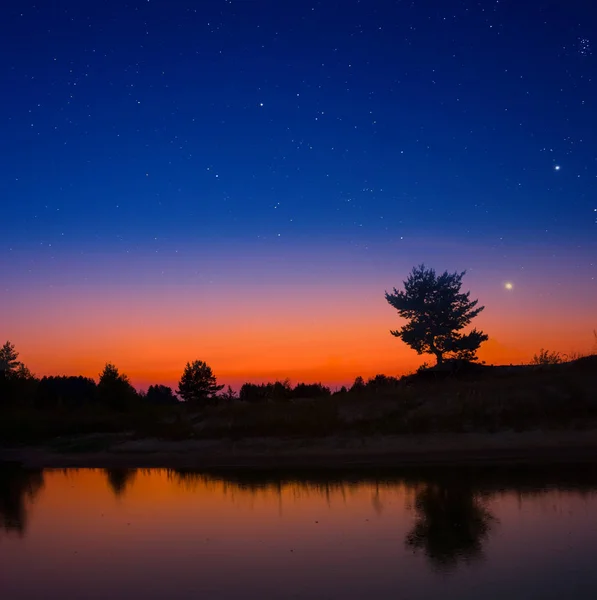 Pequeño Lago Tranquilo Con Silueta Árbol Costa Bajo Cielo Estrellado —  Fotos de Stock