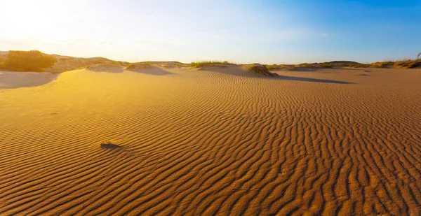在日落时分 波浪悲伤的沙漠 炎热的自然背景 — 图库照片
