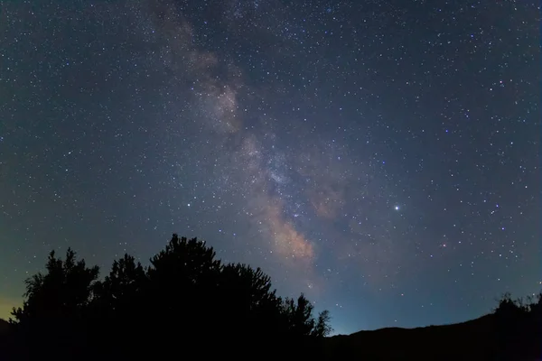 Samanyolu Ile Yıldızlı Bir Gökyüzü Altında Gece Orman Silueti — Stok fotoğraf