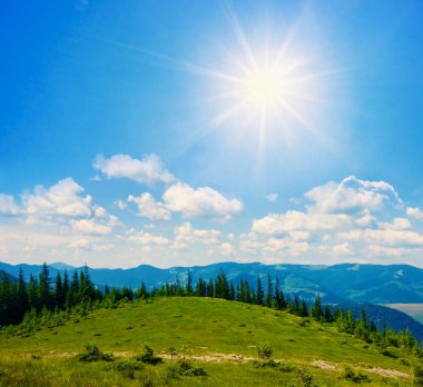 pırıl pırıl bir güneşin altında yeşil tepe üst