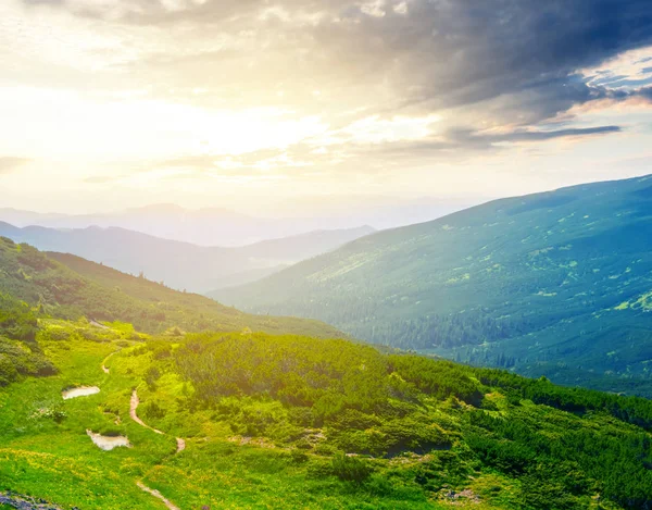 Gün Batımında Güzel Yeşil Dağ Vadisi Manzara — Stok fotoğraf
