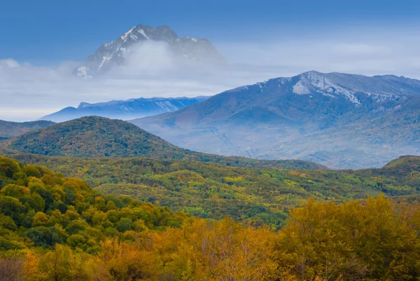 Красная Осенняя Горная Долина Высокой Вершиной Горы Снегу — стоковое фото