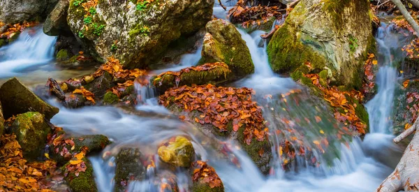 Ορεινού Ποταμού Που Σπεύδουν Ανάμεσα Πέτρες Και Ξηρά Φύλλα Φθινόπωρο — Φωτογραφία Αρχείου