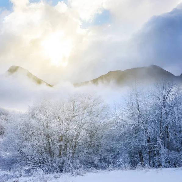冬季山谷与森林在雪在日落 冬季自然背景 — 图库照片