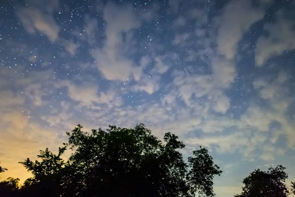 Gece Doğal Arka Plan Gece Yıldızlı Gökyüzü Ağaç Silueti — Stok fotoğraf