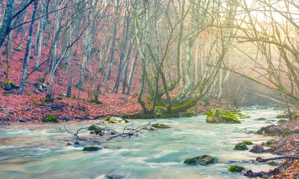 翡翠河在红森林中冲过山峡谷 — 图库照片