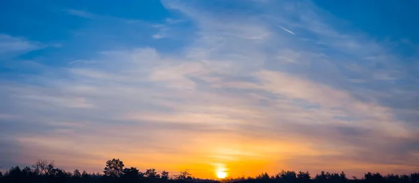 Dramatische Bewolkte Hemel Bij Zonsondergang Boven Het Bos Silhouet Avond — Stockfoto