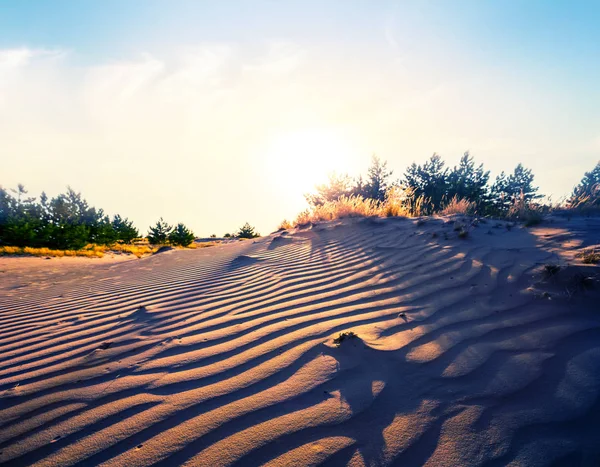 夕暮れ時の美しい暑い夏の砂浜の砂丘 — ストック写真