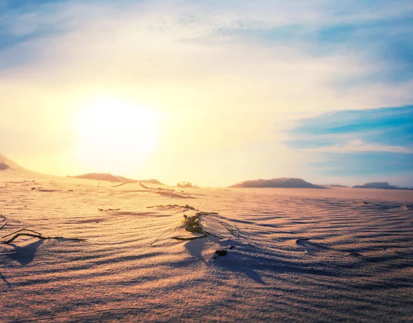 Närbild Sandy Desert Dune Vid Solnedgången — Stockfoto