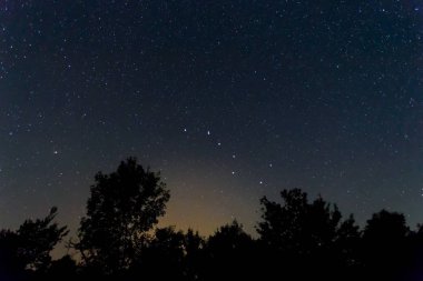 bir gece yıldızlı gökyüzü ve Ursa Büyük takımyıldızı altında gece orman silueti