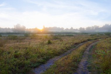 yol ile sabahın erken saatlerinde yaz çayır