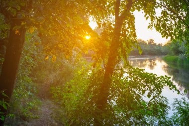 gün batımında yaz nehir kıyısı, sakin akşam manzara