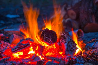 alacakaranlıkta bir ormanda yakın çekim yanan kamp ateşi