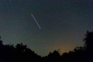 orman silueti üzerinde iss parça ile gece yıldızlı gökyüzü