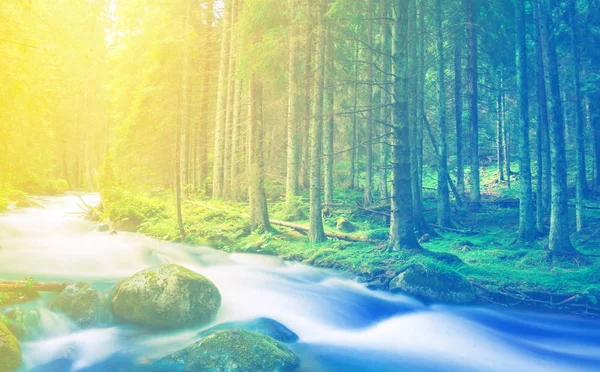 Blue River Rushing Forest Sunshine Stylized Natural Background — Stock Photo, Image