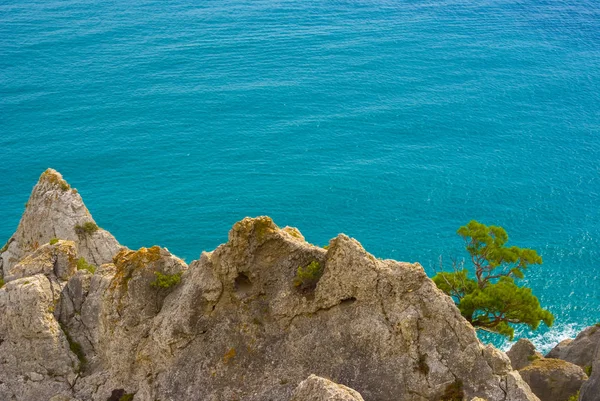 Costa Del Mar Rocoso Vista Mar Esmeralda Desde Ladera Colina — Foto de Stock
