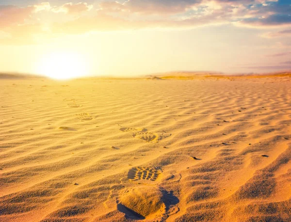 Dramatic Sunset Sandy Desert Hiking Background Human Track — Stock Photo, Image