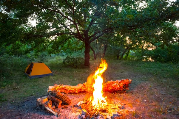 touristic camp with a camp-fire in a forest, outdoor camping scene