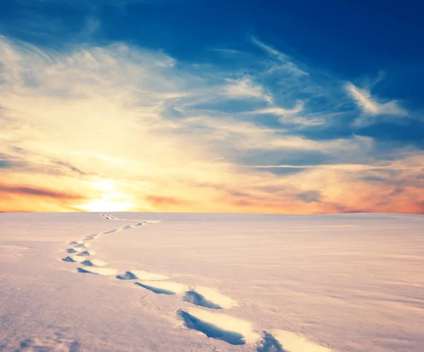 Inverno Planície Nevada Com Trilha Humana Pôr Sol — Fotografia de Stock