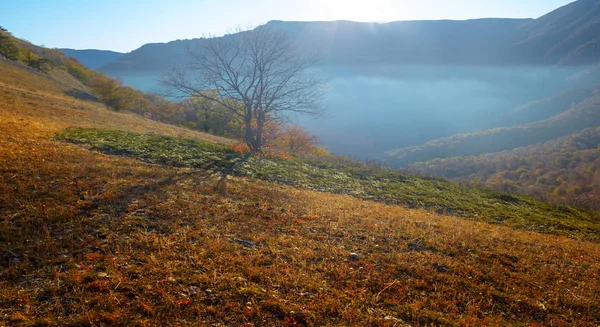 Горная Долина Голубом Тумане Ранним Утром — стоковое фото